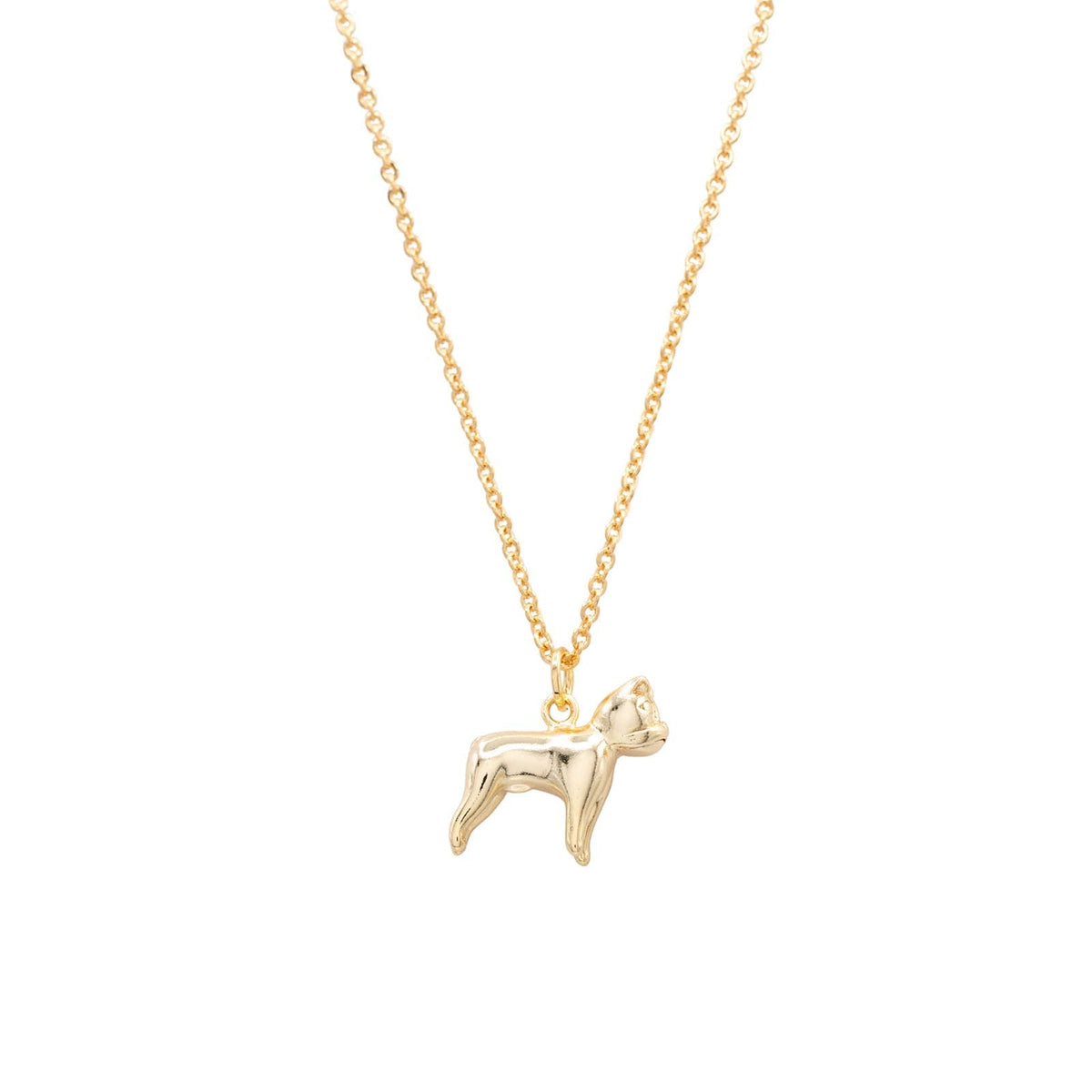 Boston Terrier Dog Charm Necklace Animal Pet Gift Giving: Gold