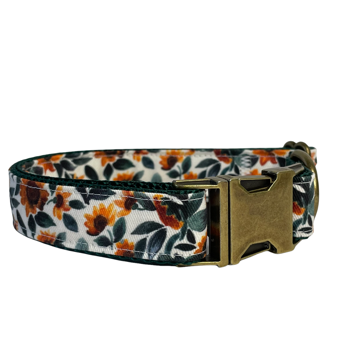 Sunflower with Antique Brass Hardware - Dog Collar